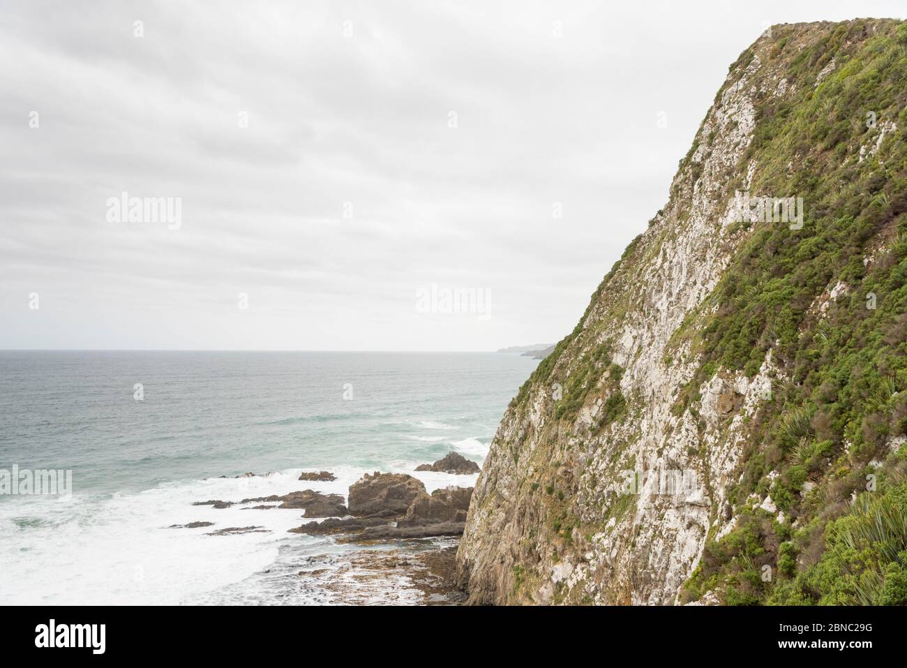 La côte rocheuse et les falaises de Nugget point South Island Nouvelle-Zélande Banque D'Images