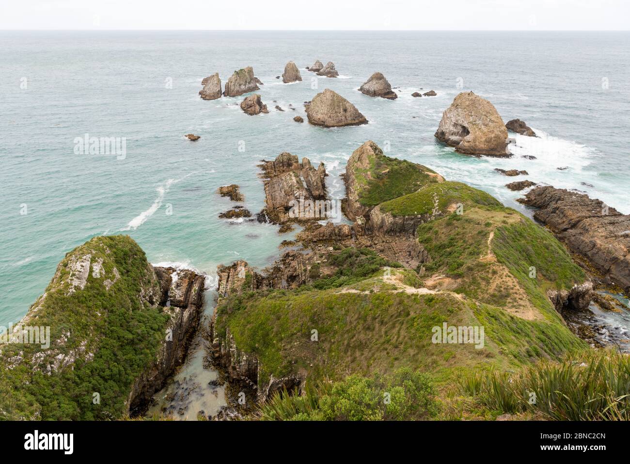 La côte rocheuse et les falaises de Nugget point South Island Nouvelle-Zélande Banque D'Images