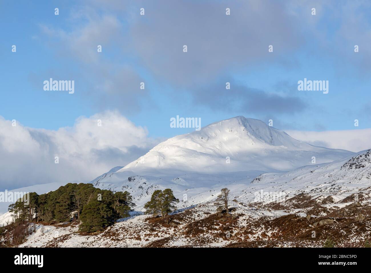 Tôt le matin, le soleil sur la neige a coiffé Sgurr na Lapaich, Glen Affric, Écosse Banque D'Images