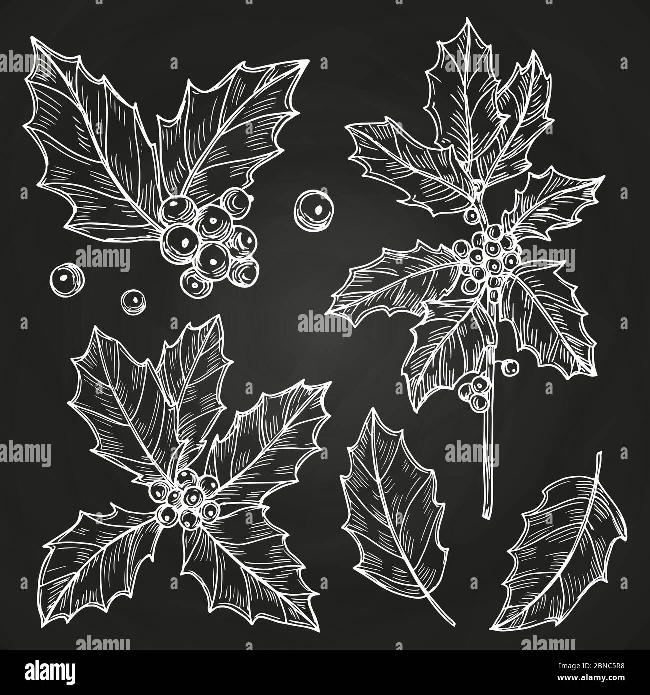 Dessiné à la main hiver vacances botaniques décorations ensemble de vecteur isolé sur fond noir Illustration de Vecteur