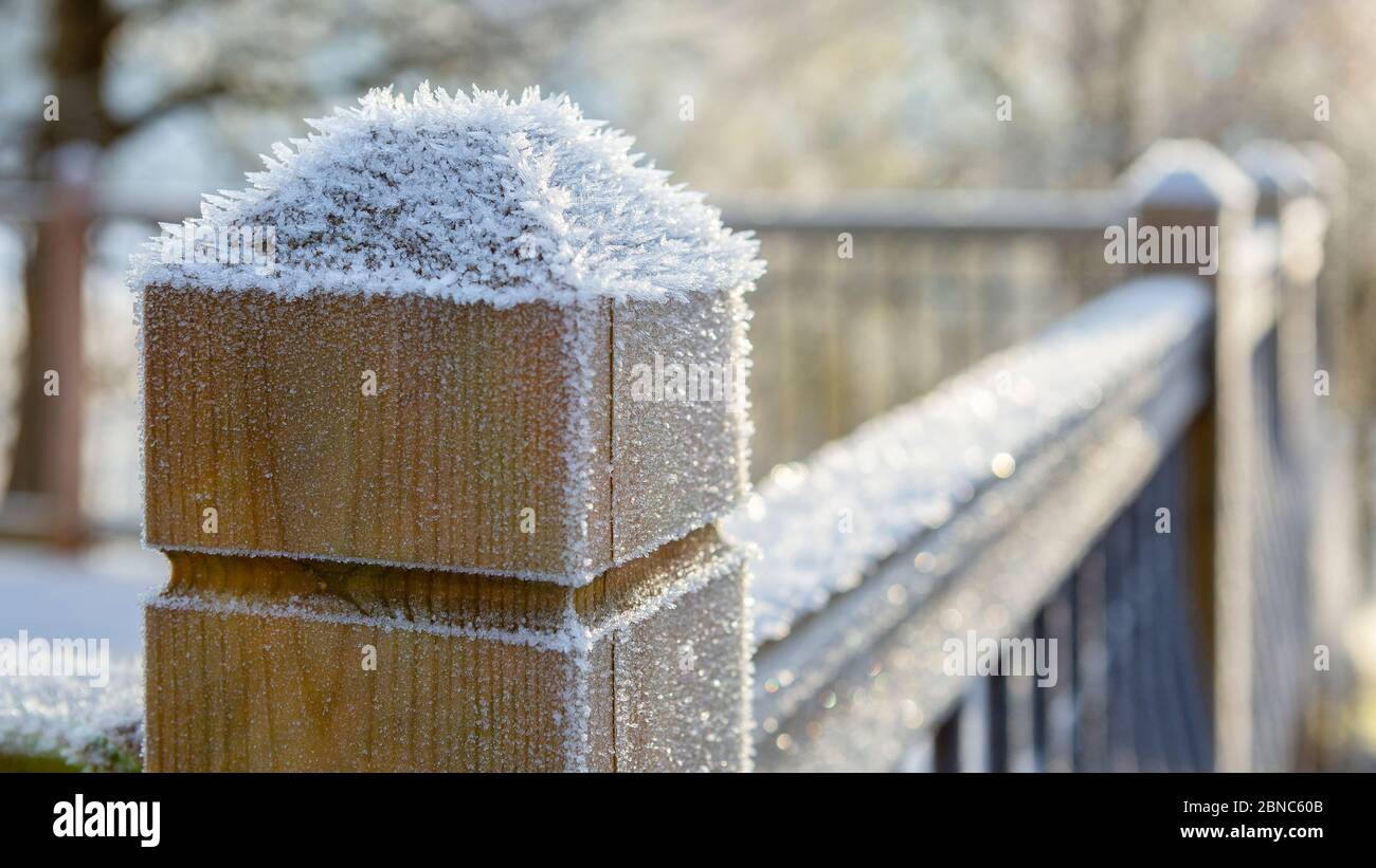 De fortes gelées de nuit se sont formées sur un poteau en bois sur la clôture autour de la terrasse du jardin. Gros plan des particules de glace. Banque D'Images