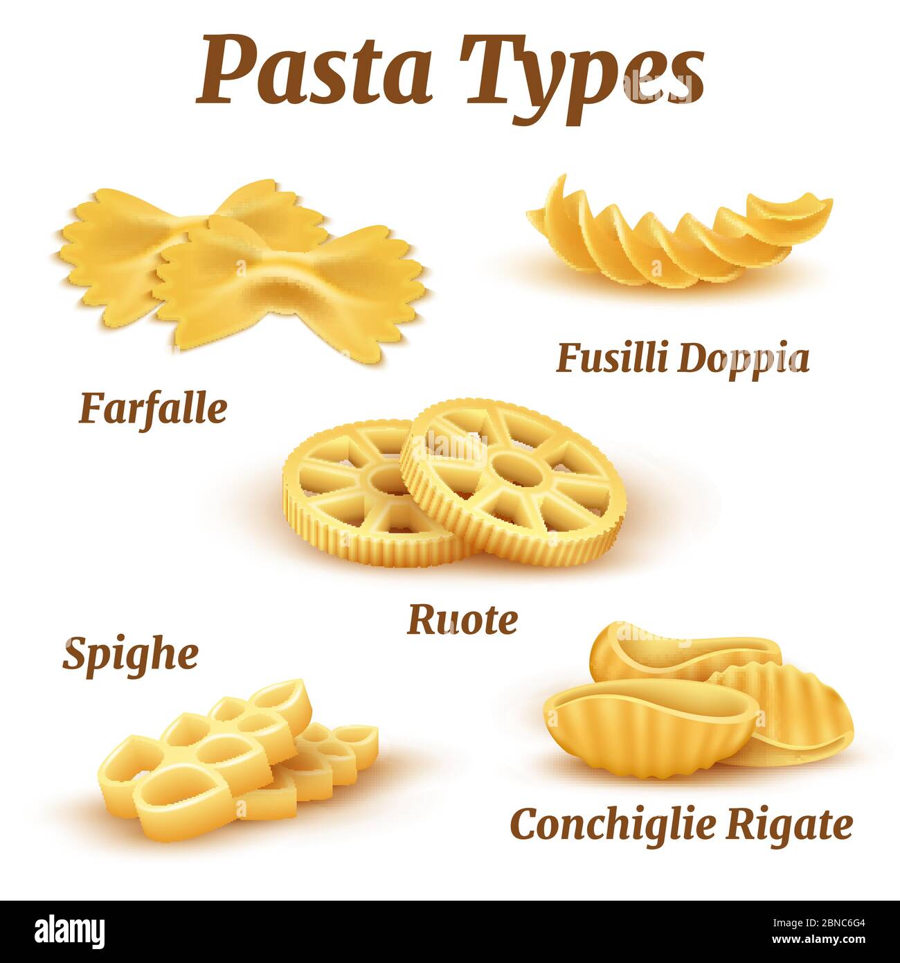 Ensemble vectoriel de types de pâtes italiennes traditionnelles réalistes. Illustration de macaroni traditionnel pour pâtes italiennes Illustration de Vecteur