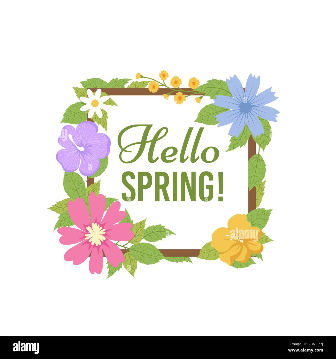 Fond de fleurs de printemps. Belle carte postale florale. Modèle de vecteur de carte d'invitation pour les plantes printanières et estivales. Bonjour printemps, fleurs de couleur illustration Illustration de Vecteur