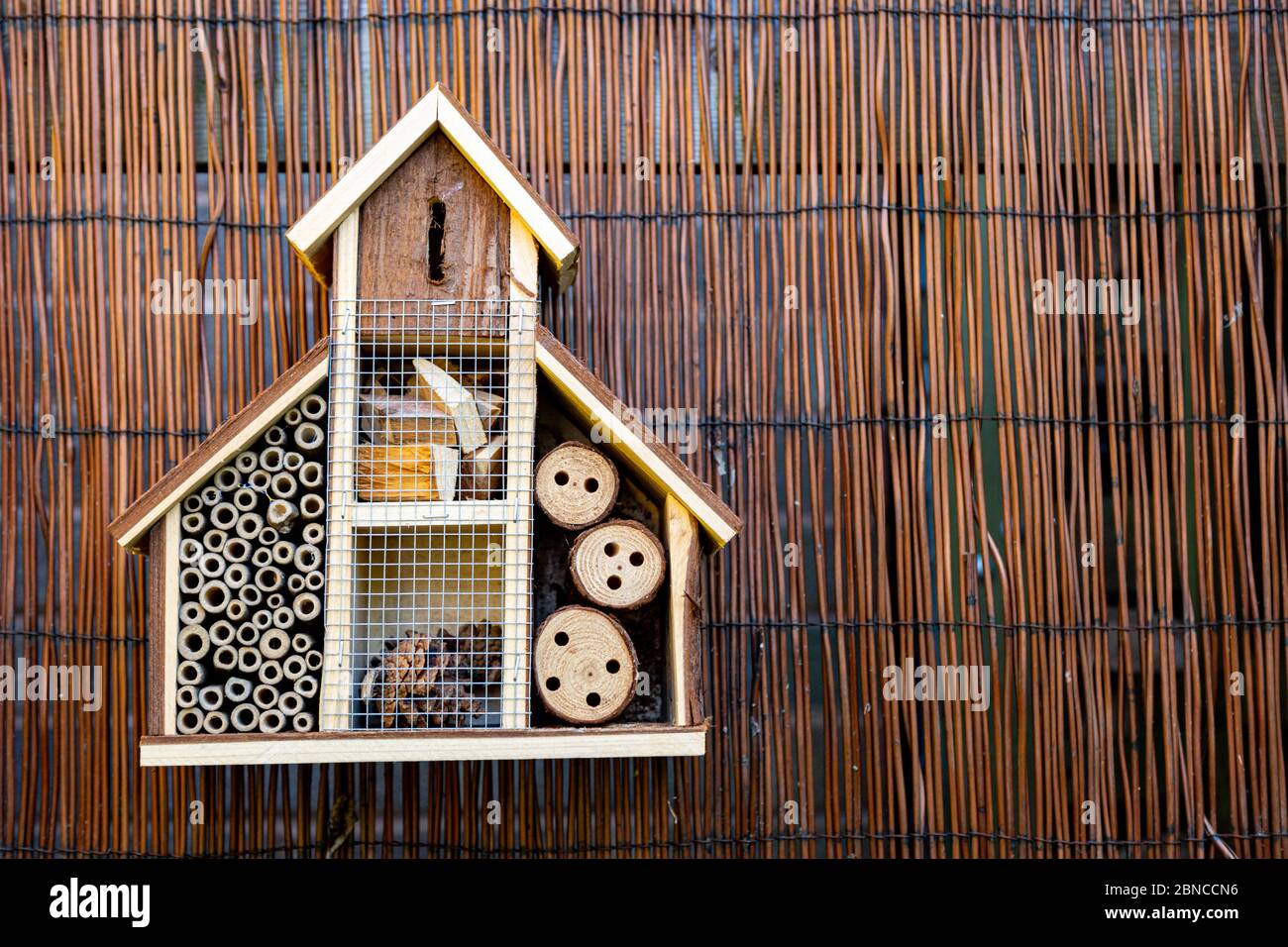 Hôtel de insectes ou de insectes dans un jardin arrière, Royaume-Uni Banque D'Images