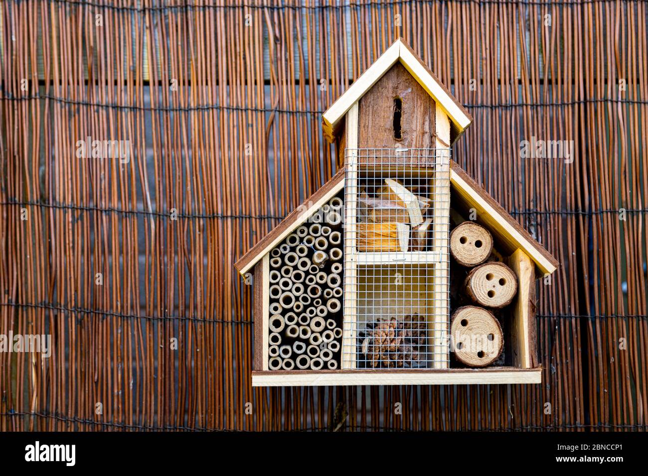 Hôtel de insectes ou de insectes dans un jardin arrière, Royaume-Uni Banque D'Images