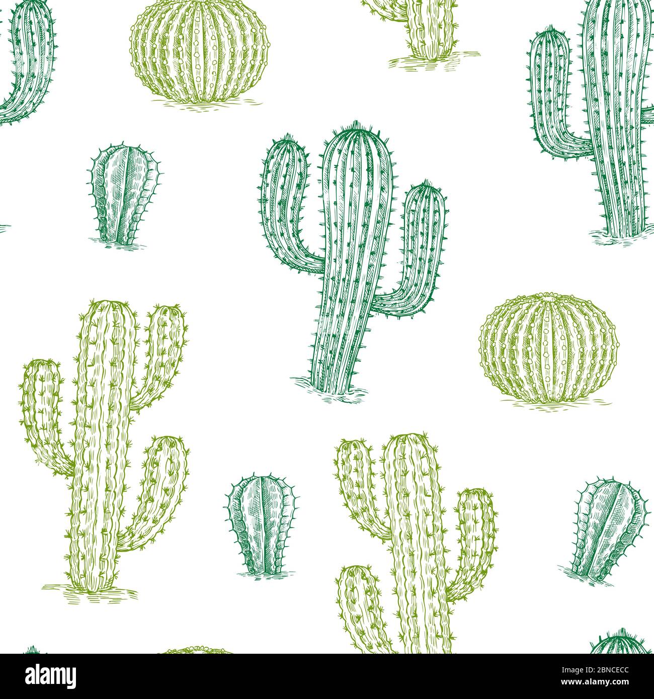 Motif sans couture avec cactus. Les plantes désertiques dessinées à la main cactus refont la texture vectorielle. Illustration du désert de cactus, illustration de fond d'été de plante Illustration de Vecteur