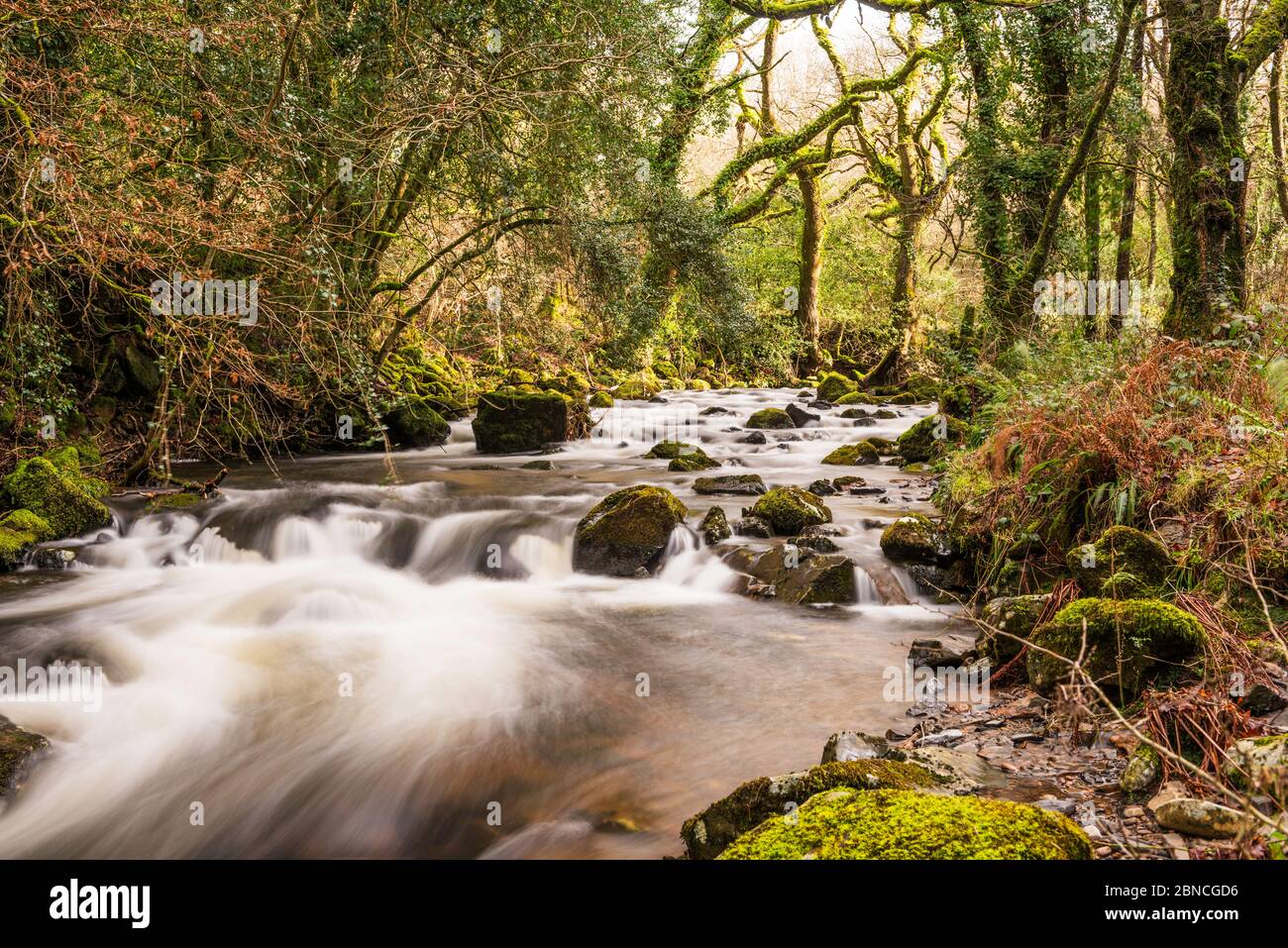 La rivière Okement est en chute de Dartmoor à travers West Cleave près d'Okehampton, Devon, Angleterre, Royaume-Uni. Banque D'Images