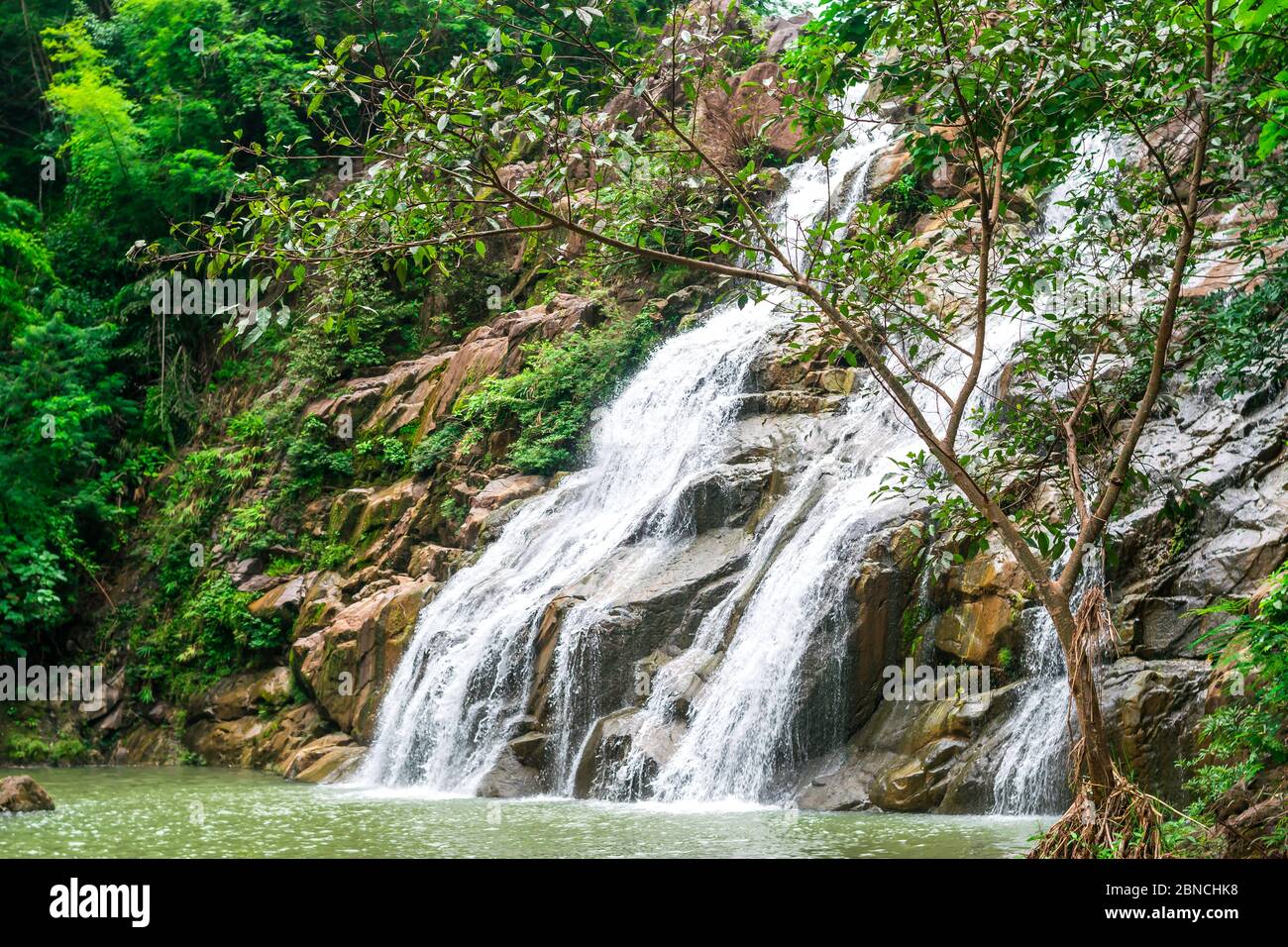 Thanthip Cascade dans la forêt verte pour la diffusion de l'eau qui coule sur l'étape de roches de Lom Sak, District de la province de Phetchabun, Thaïlande Banque D'Images