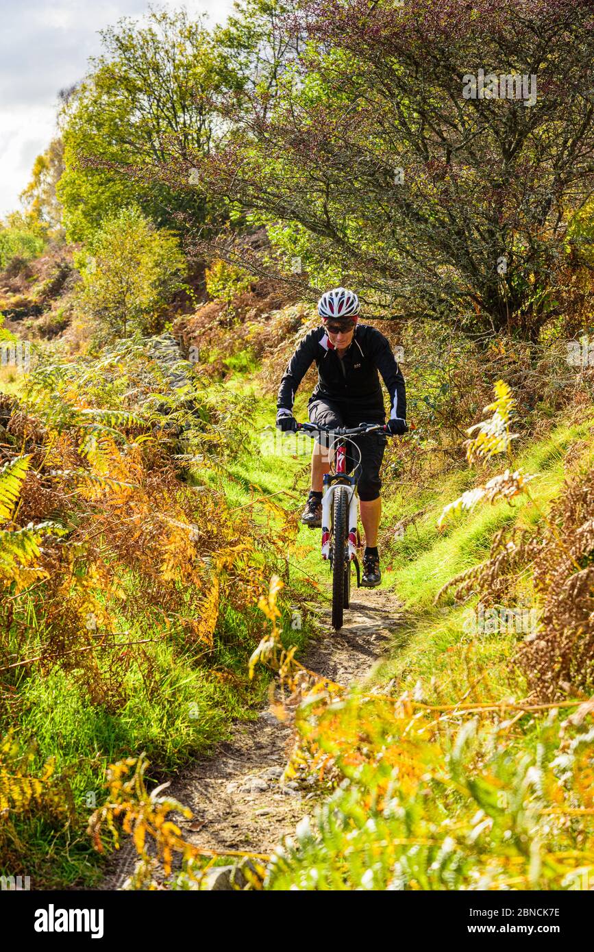 Motard sur un sentier en dessous de la plantation Pullscar dans la région de Skelwith du Lake District Banque D'Images Motard sur un sentier en dessous de la plantation Pullscar dans la région de Skelwith du Lake District Banque D'Images