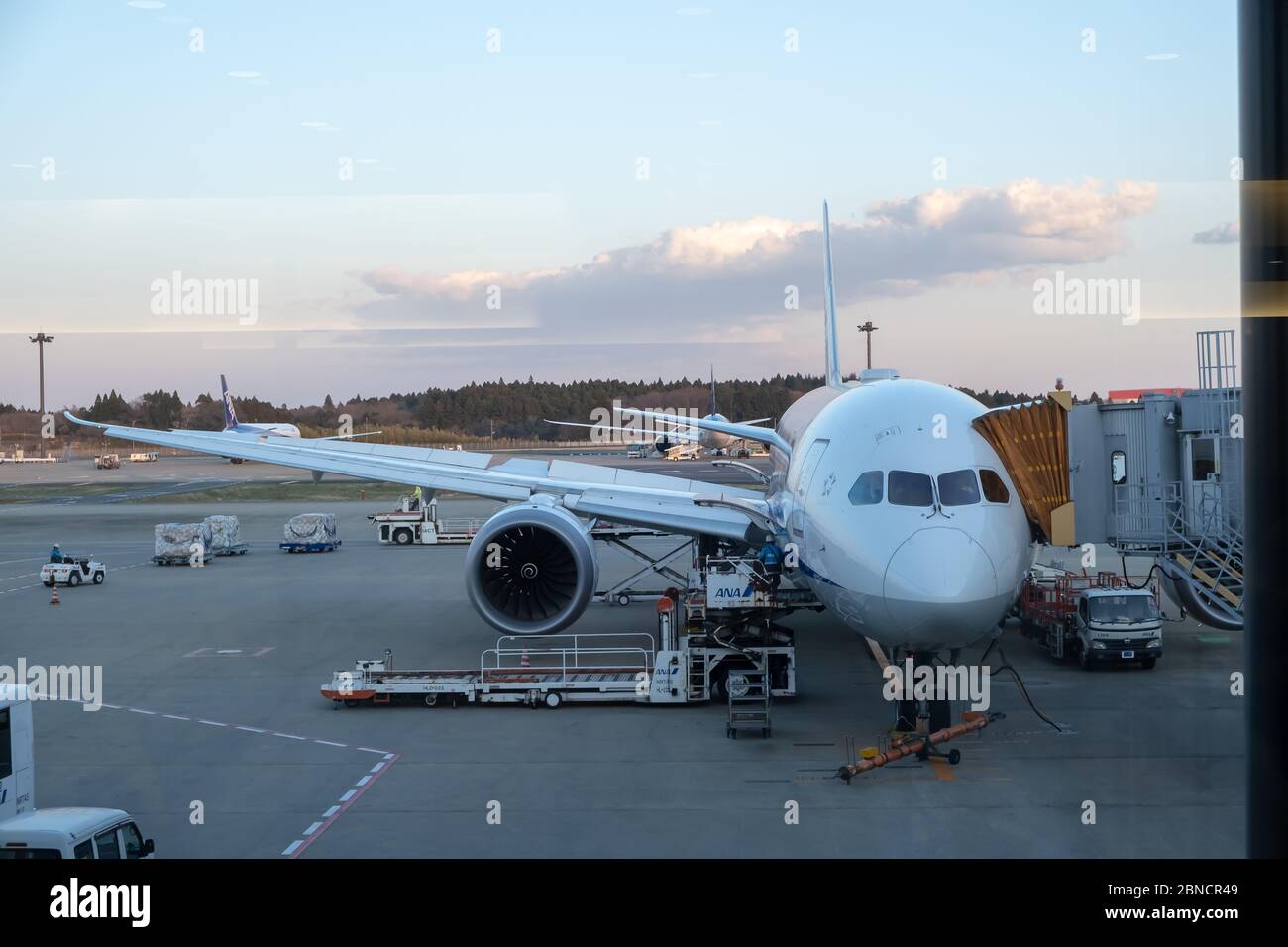 Chiba, Japon - Mars 24, 2019 : Avis de ANA ou All Nippon Airways avion, la plus grande compagnie aérienne au Japon sur la base de la taille du parc, parking gratuit à l'aéroport de Narita Int Banque D'Images