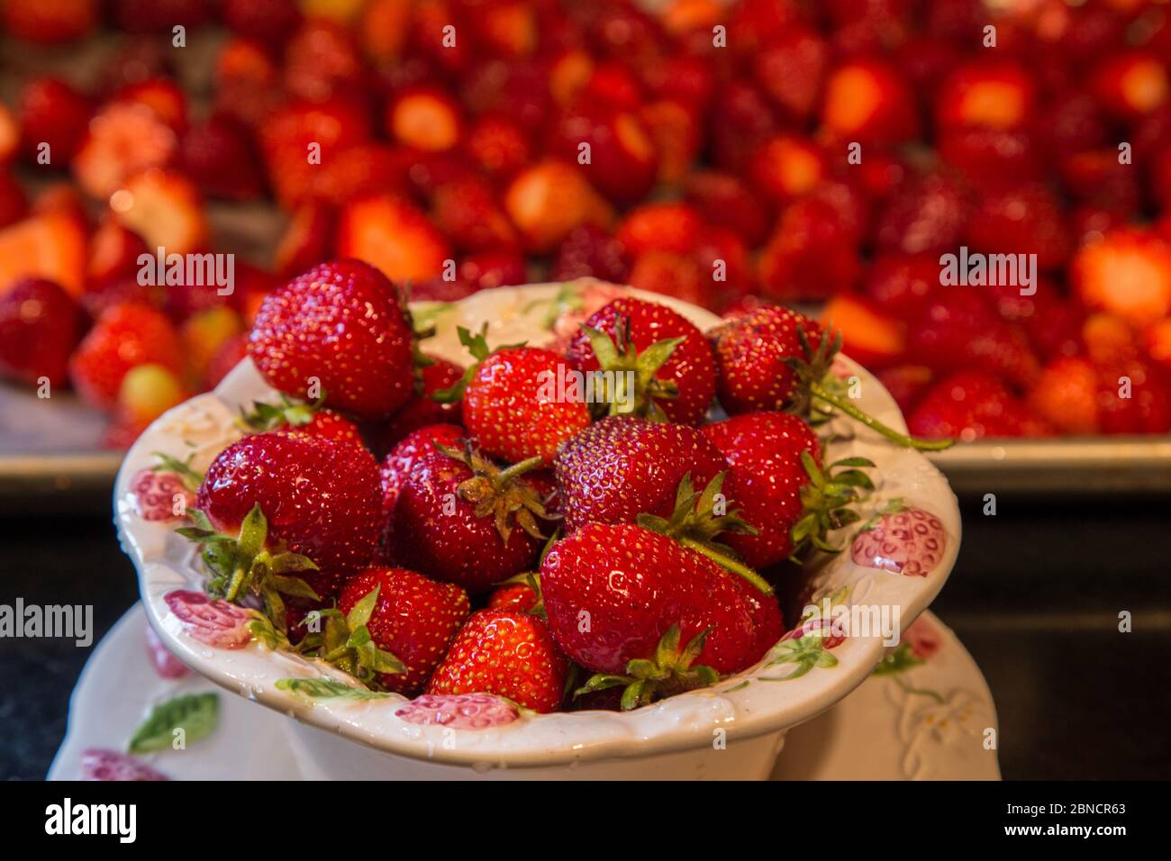 Les fraises fraîchement cueillies Banque D'Images