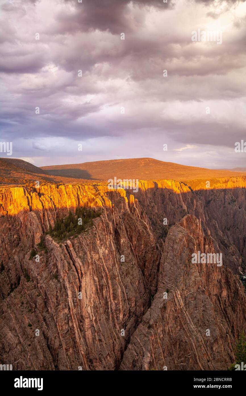 Les parois du Canyon près de Pulpit Rock surplombent (S. RIM), Black Canyon du parc national de Gunnison, Colorado, États-Unis Banque D'Images