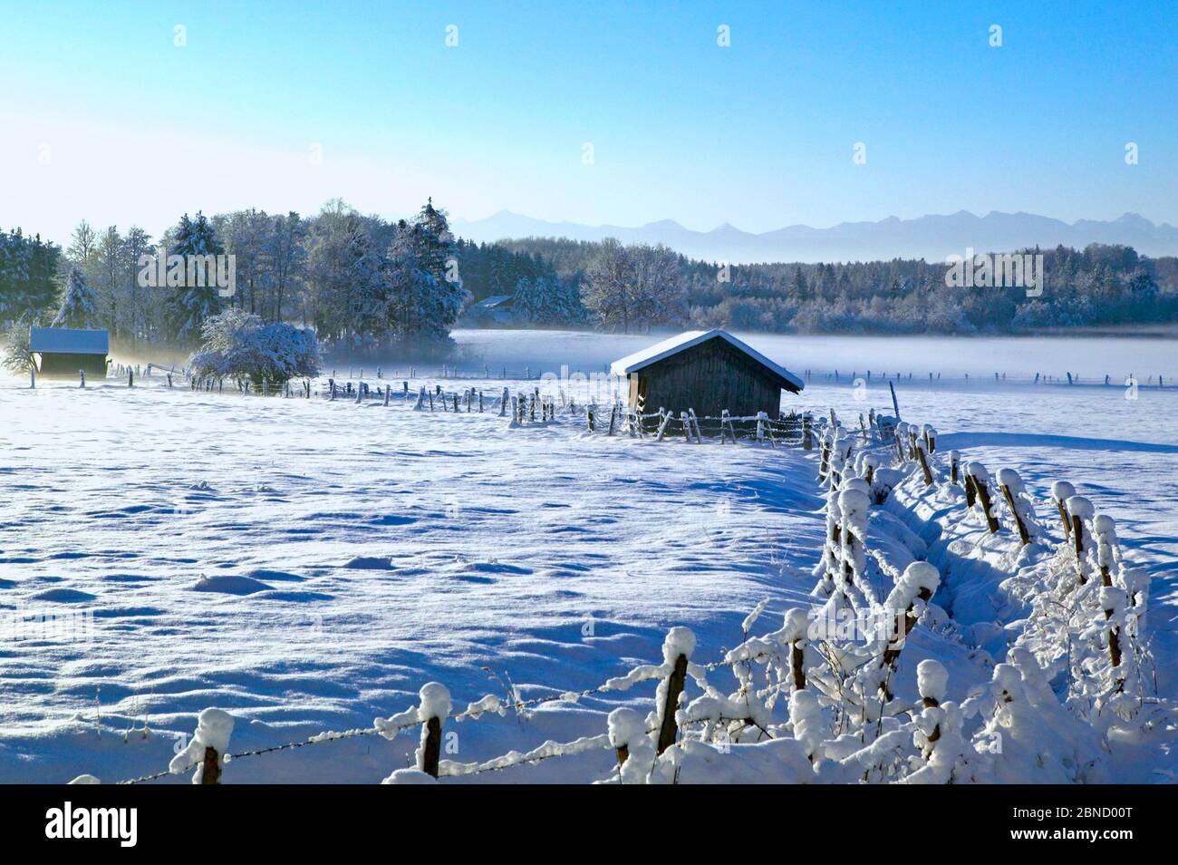 Paysage d'hiver en haute-Bavière, Allemagne, Europe Banque D'Images