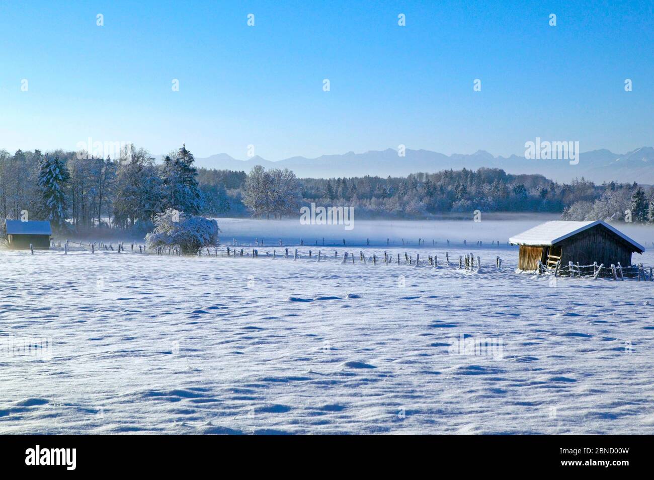 Paysage d'hiver en haute-Bavière, Allemagne, Europe Banque D'Images
