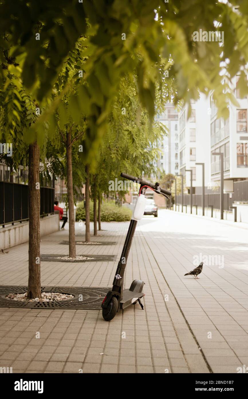 Plan vertical d'un scooter électrique stationné sous l'arbre Banque D'Images