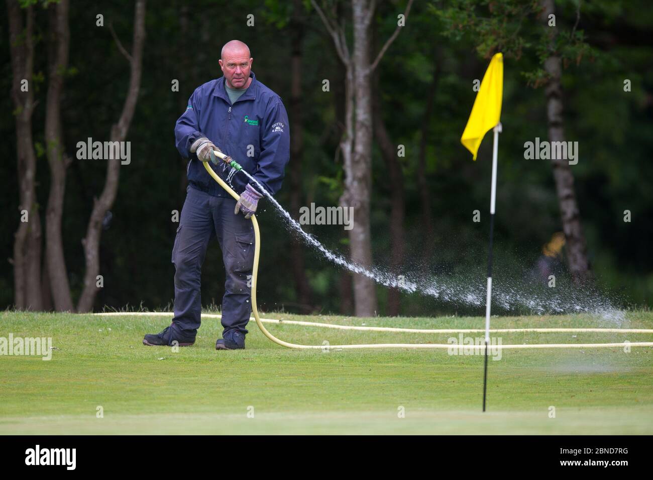 Un gardien de green sur le green au Woodford Golf Club dans le nord de Londres sur le nouveau parcours après un changement dans les conseils du gouvernement pendant la Corona Banque D'Images