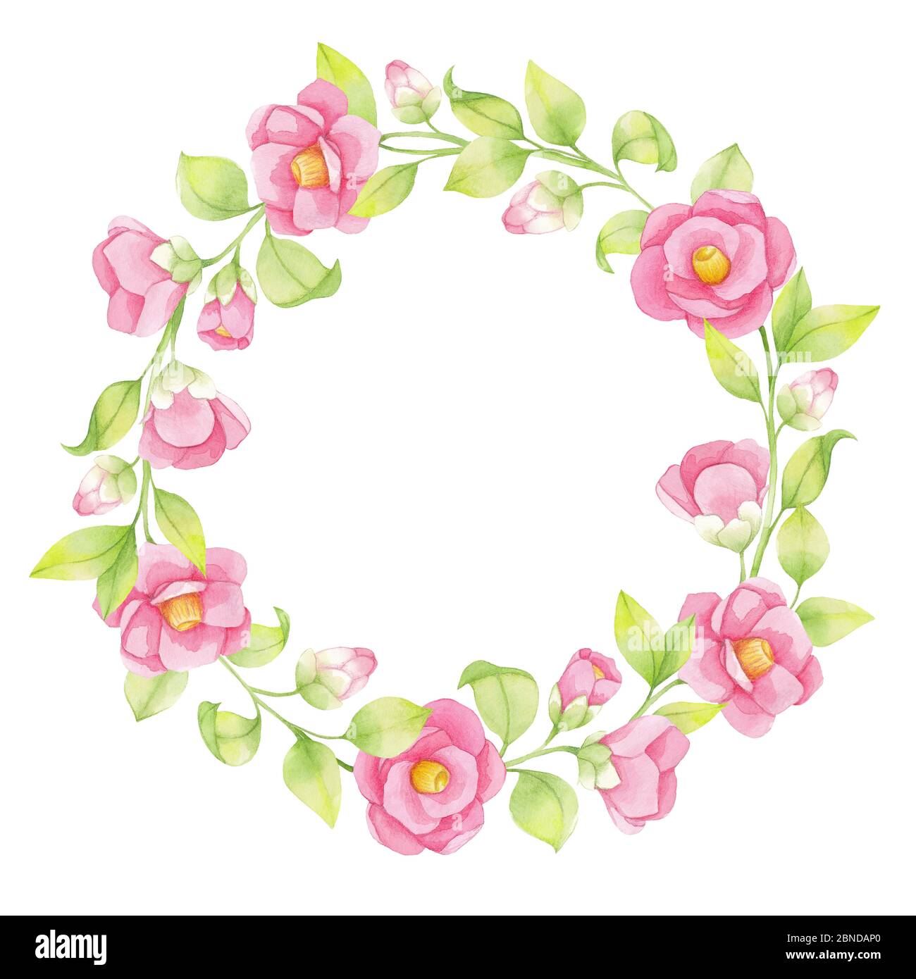 Couronne aquarelle de fleurs roses et de brindilles vertes, feuilles isolées sur fond blanc. Camélia japonais Banque D'Images