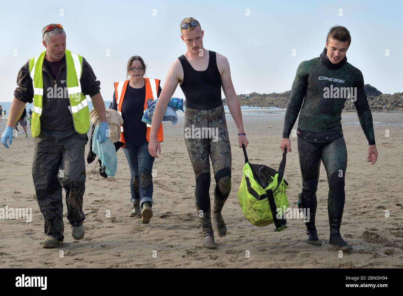 Médecins vétérinaires de sauvetage en milieu marin Simon Dolphin et Michelle Clement accompagnent les personnes portant un chiot de phoque gris blessé (Halichoerus Banque D'Images