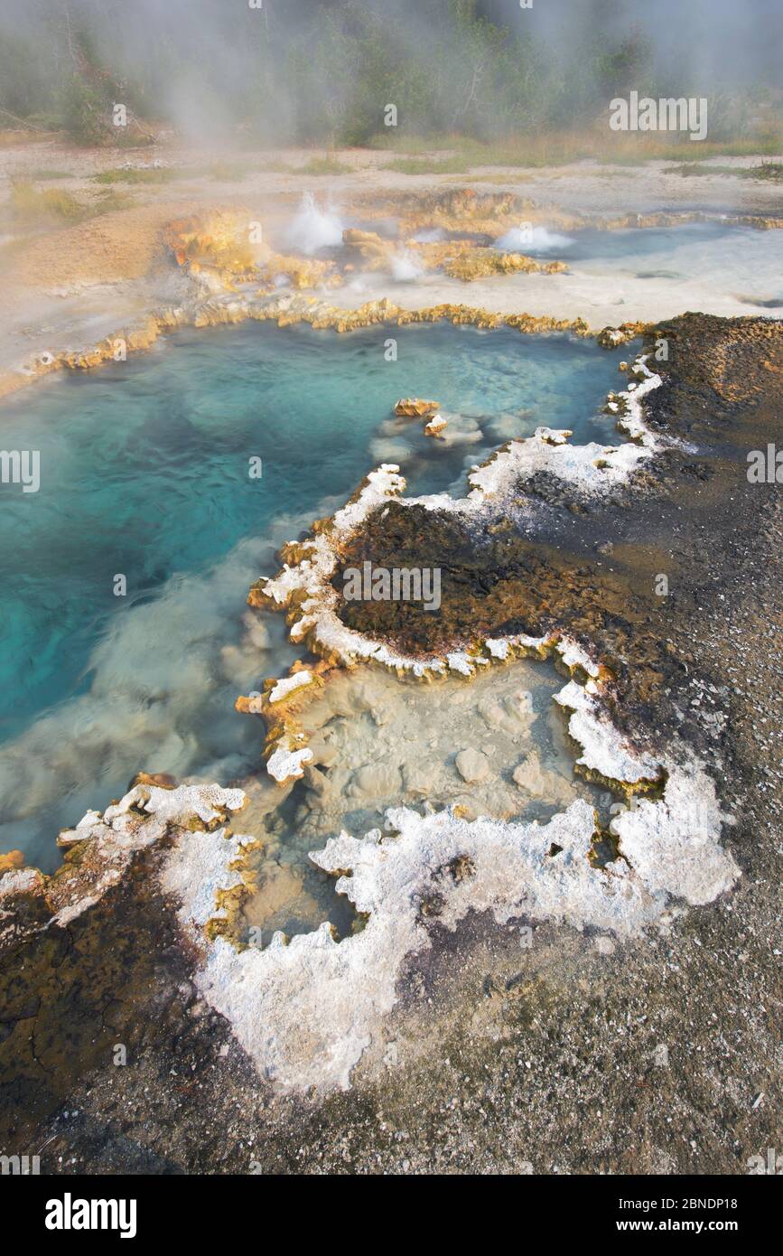 Geyser de Chaudron bouillante et bords pétoncles de geyserite, Western Group of Shoshone Geyser Basin, Parc national de Yellowstone, Wyoming, États-Unis, août. Banque D'Images