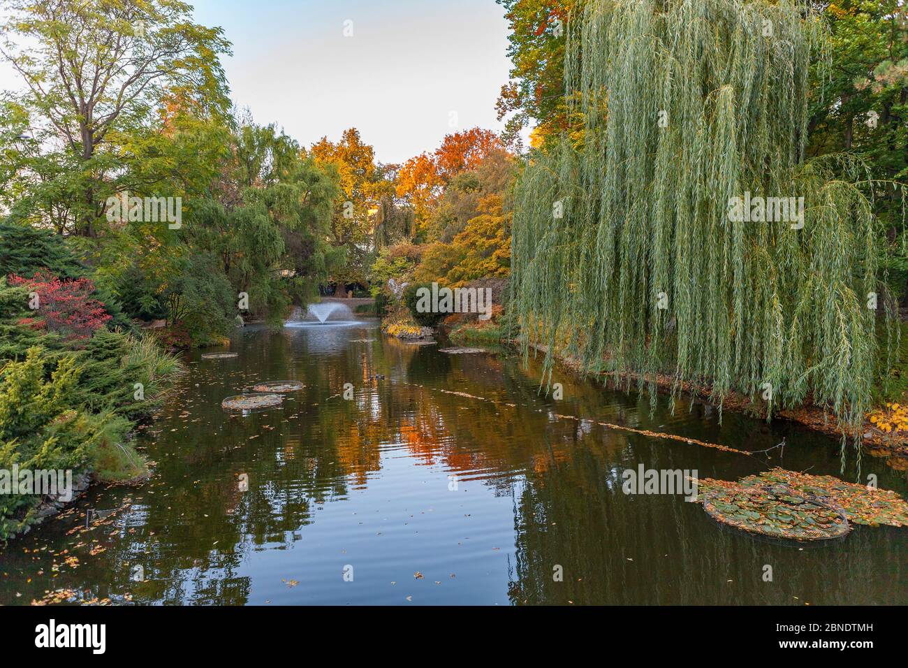 Jardin botanique de l'Université de Wroclaw Banque D'Images