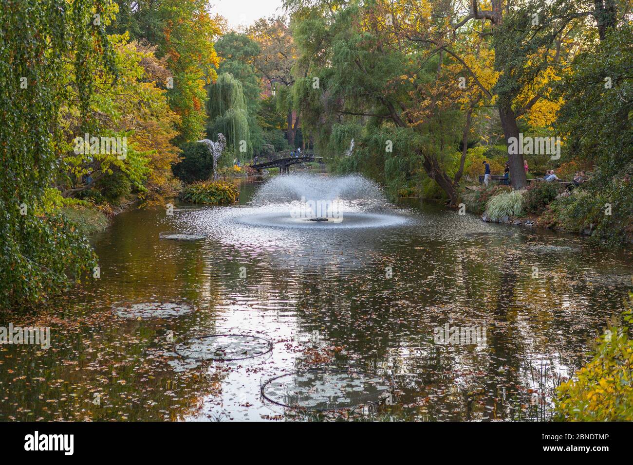 Jardin botanique de l'Université de Wroclaw Banque D'Images