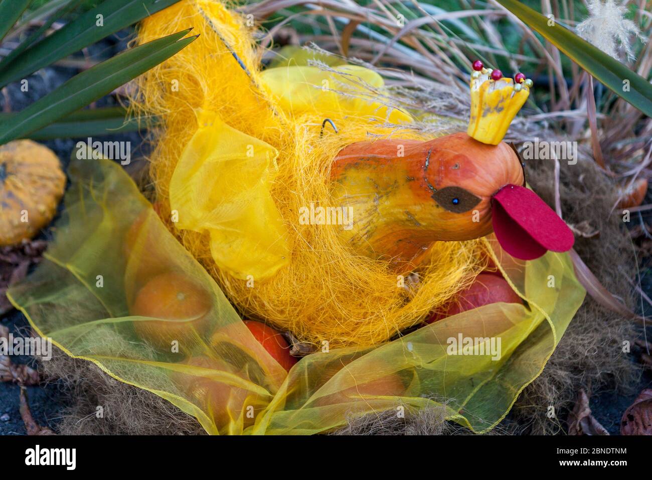 Fête de la citrouille dans le jardin botanique de l'Université de Wroclaw Banque D'Images