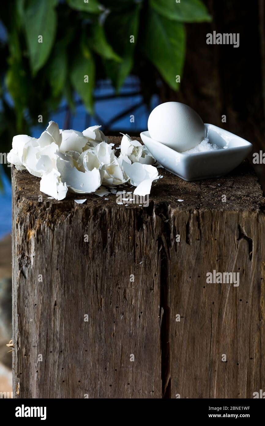 image spectaculaire d'œufs blancs avec des coquilles d'œufs fissurées de broken et du sel sur une souche d'arbre Banque D'Images