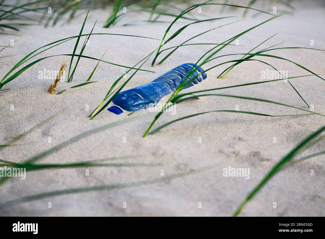 bouteille en plastique dans le sable à la plage Banque D'Images