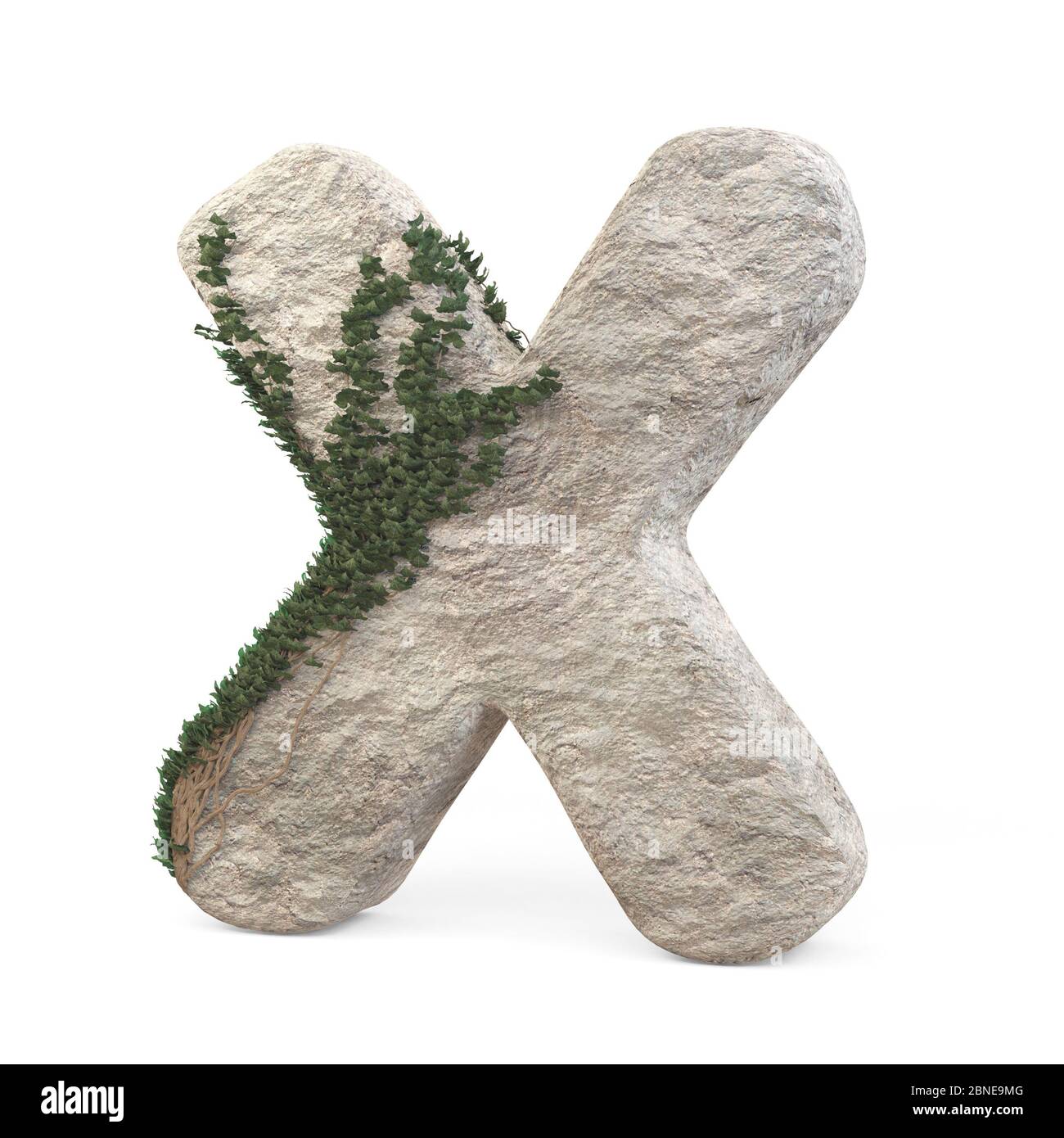 Des lettres de pierre réalistes avec de l'ivy, isolées sur un fond blanc. image 3d Banque D'Images