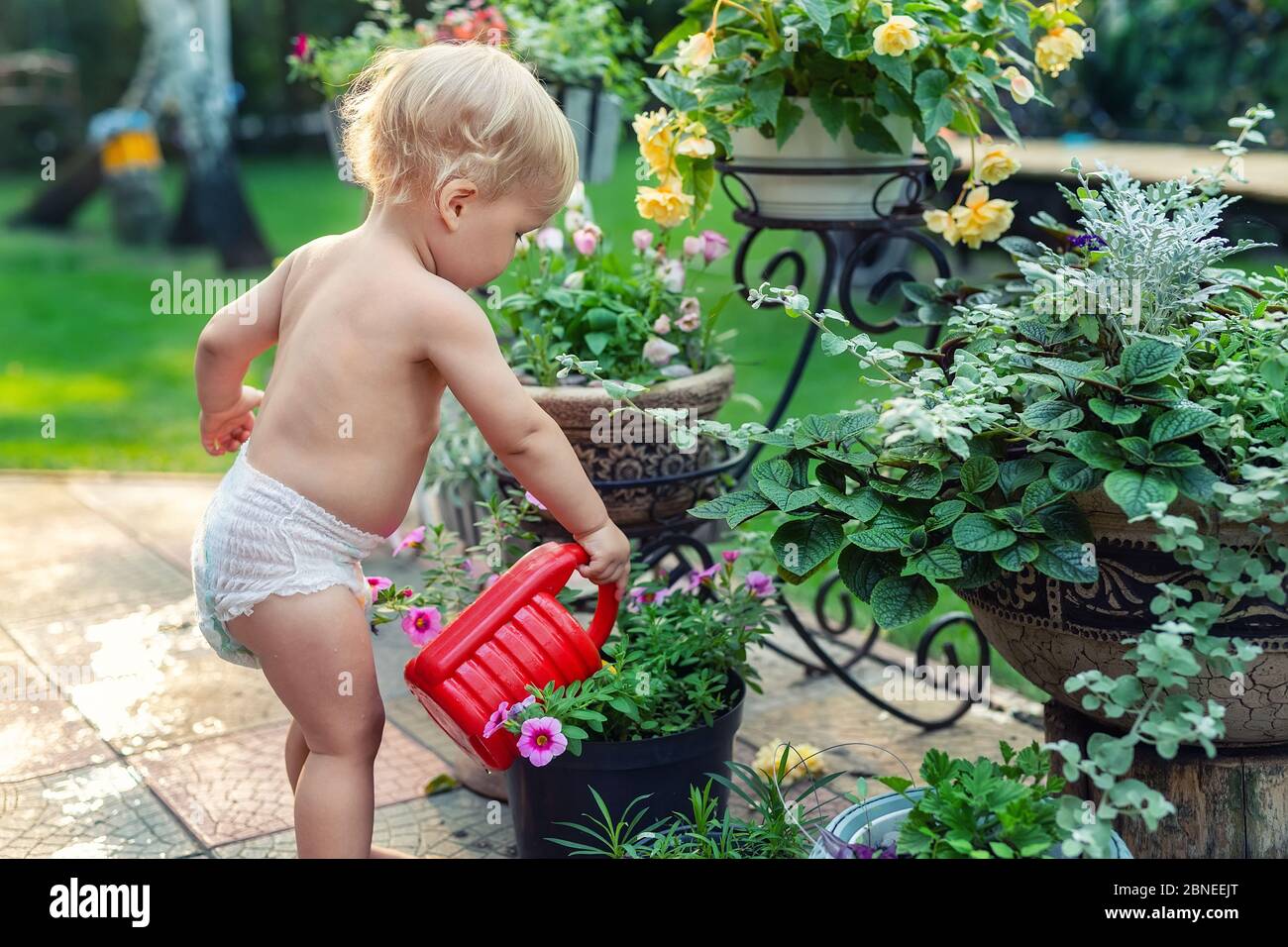 Cuate Adorable Petit Garcon Blond Caucasien Dans Un Pot De Fleurs Arrosant De Couches Blanches Avec Une Boite En Plastique Rouge A L Exterieur Une Usine De Jardinage Amusante Pour Bebe Garcon A