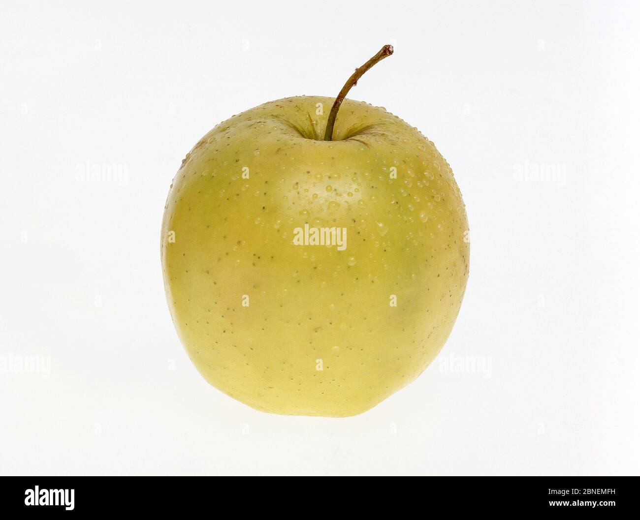 Granny Smith pomme sur fond blanc, Surrey., Angleterre, Royaume-Uni Banque D'Images