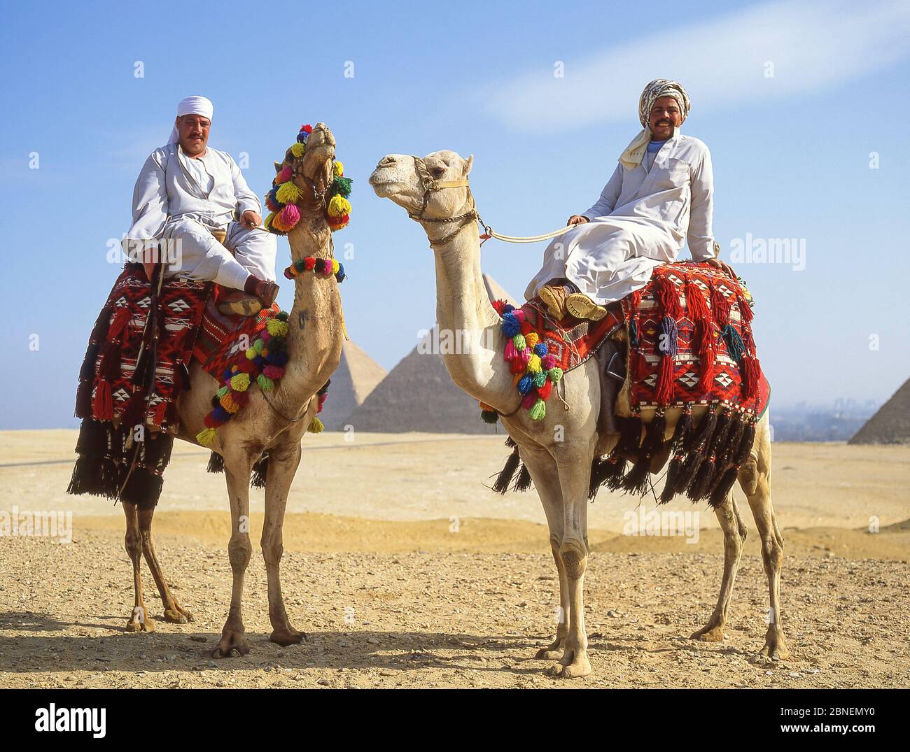 Les pilotes de chameaux sur les chameaux, les grandes pyramides de Gizeh, Gizeh, Govergate de Gizeh, République d'Égypte Banque D'Images