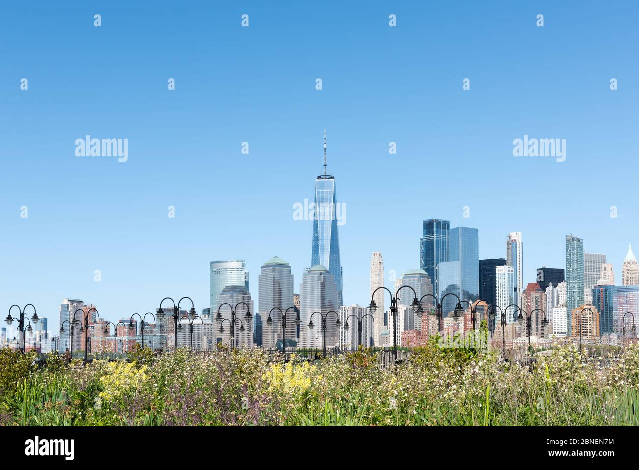 Horizon de New York avec fleurs sauvages et éclairage pittoresque au premier plan. Banque D'Images