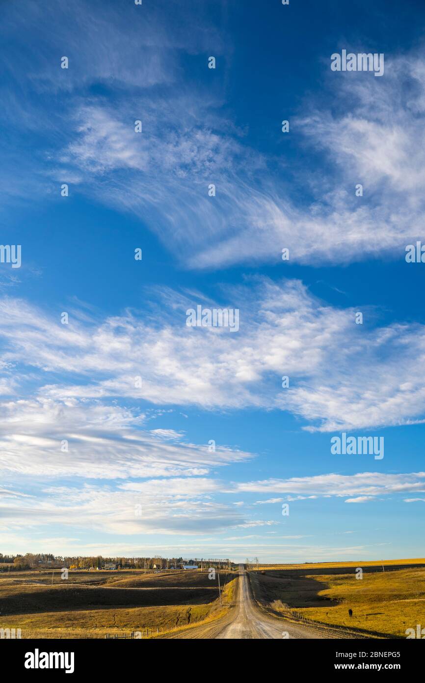 Une route de canton en gravier dans les Prairies, dans le grand pays du ciel Alberta Canada. Banque D'Images