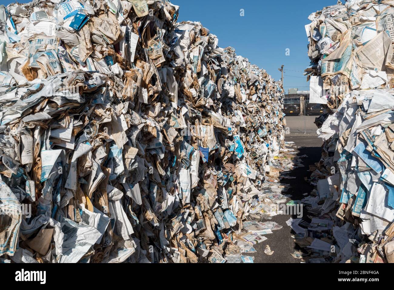 Balles de papier au centre de recyclage du comté de Wallowa à Enterprise, Oregon. Banque D'Images