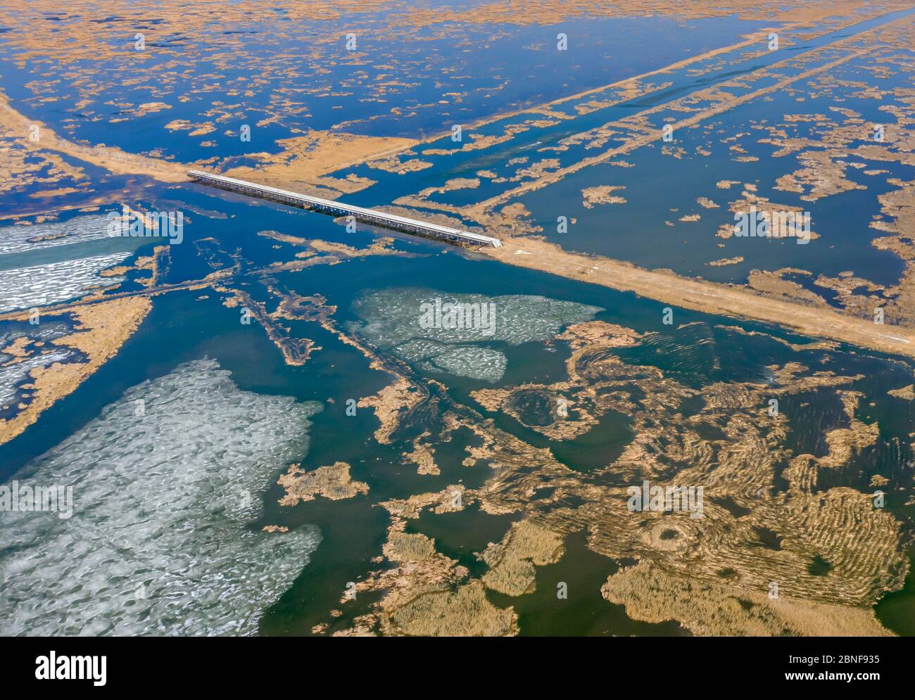 La photo aérienne montre le paysage de la réserve naturelle de la zone humide de Longfeng au printemps, la glace fond et des dizaines de milliers de roseaux qui poussent dans l'eau, Da Banque D'Images