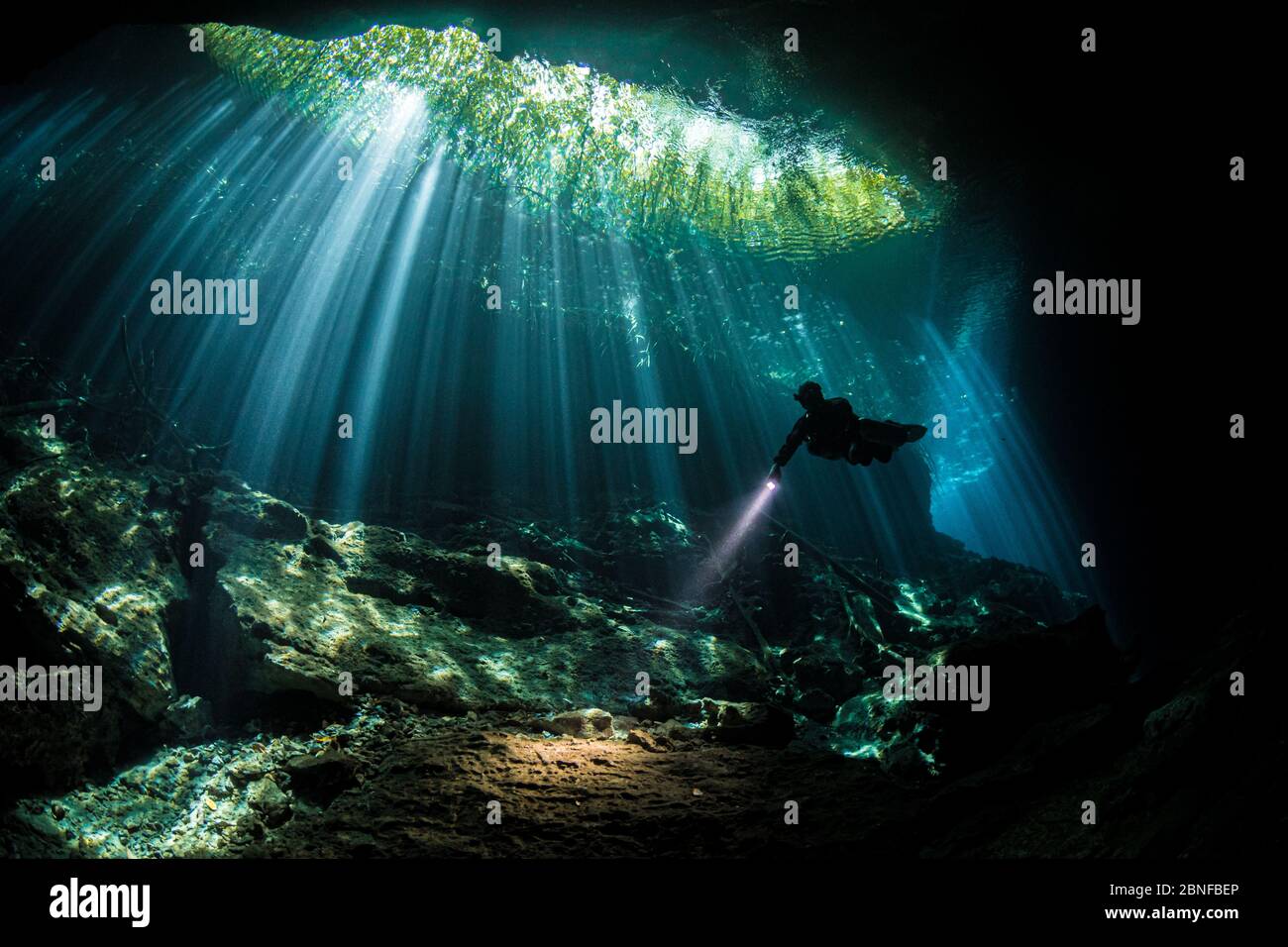 Un plongeur en poutres de soleil dans un cenote à Quintana Roo, Mexique. Banque D'Images Un plongeur en poutres de soleil dans un cenote à Quintana Roo, Mexique. Banque D'Images