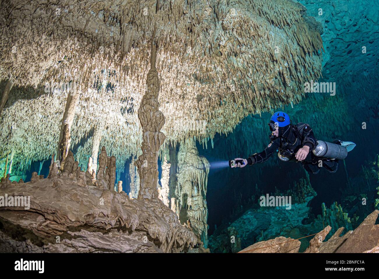 Un plongeur dans un cenote à Quintana Roo, Mexique. Banque D'Images