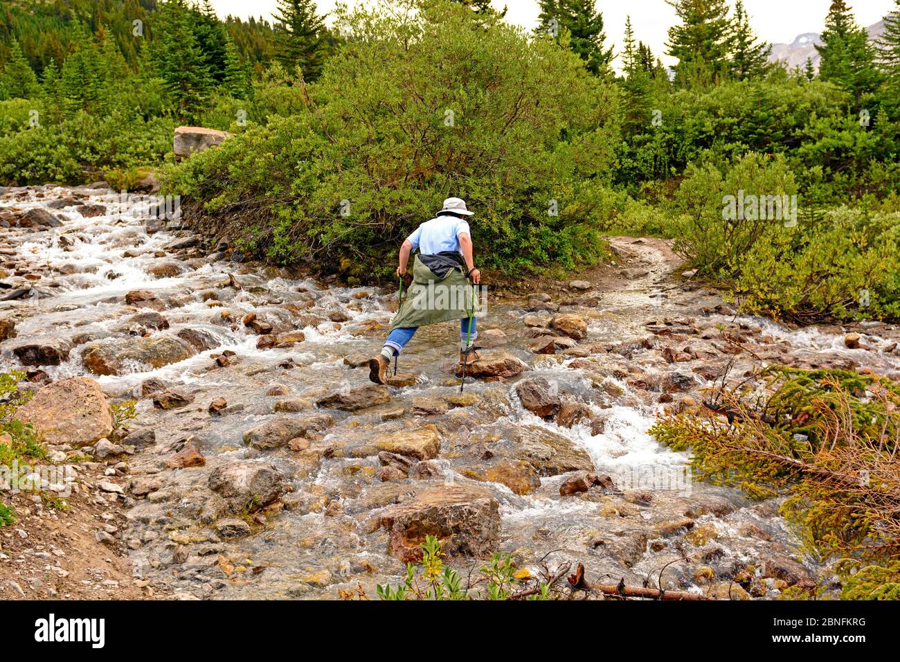 Rock Hopping à travers un ruisseau de montagne dans les Rocheuses canadiennes Banque D'Images