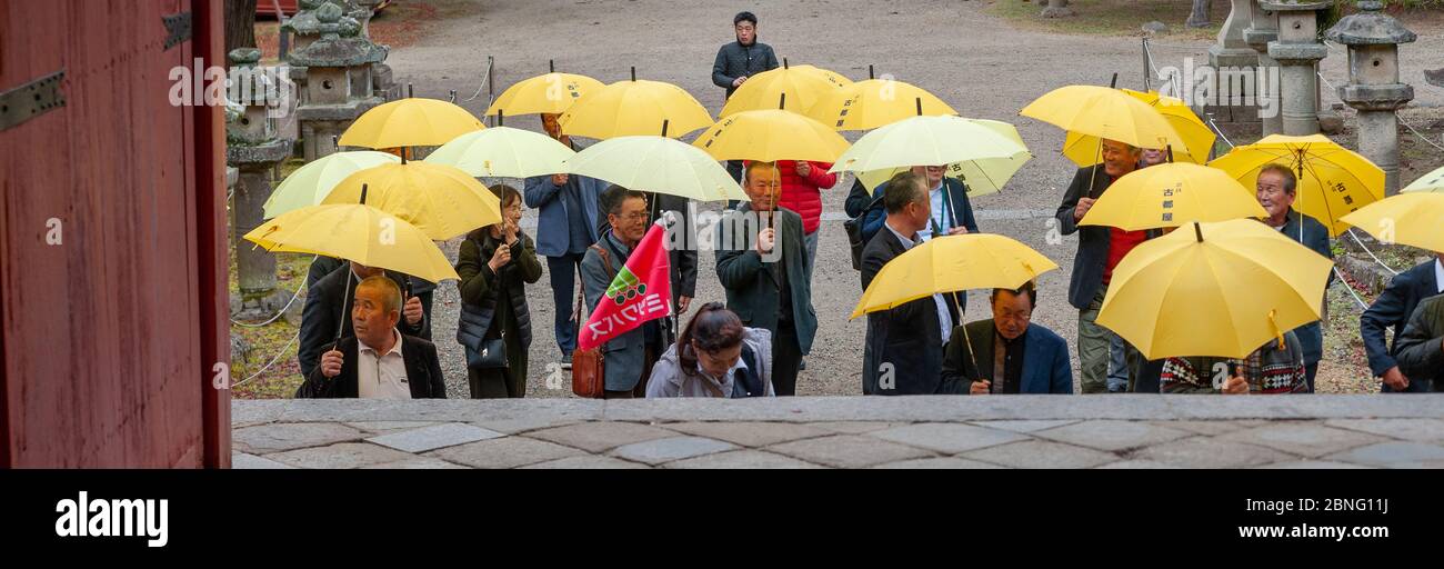Un groupe de touristes japonais montant les escaliers d'entrée au