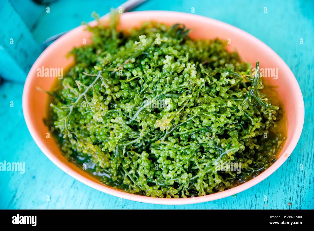 Récolte fraîche de raisins de mer verts algues prêtes pour la salade. Banque D'Images