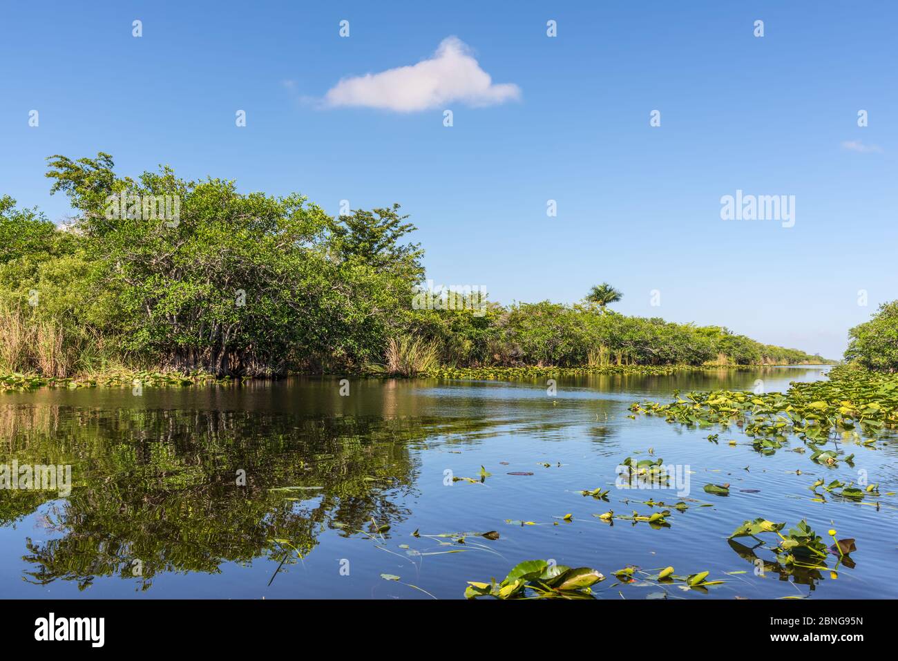 Zone humide de Floride, promenade en hydroglisseur au parc national des Everglades, aux États-Unis. Lieu populaire pour les touristes, la nature sauvage et les animaux. Banque D'Images