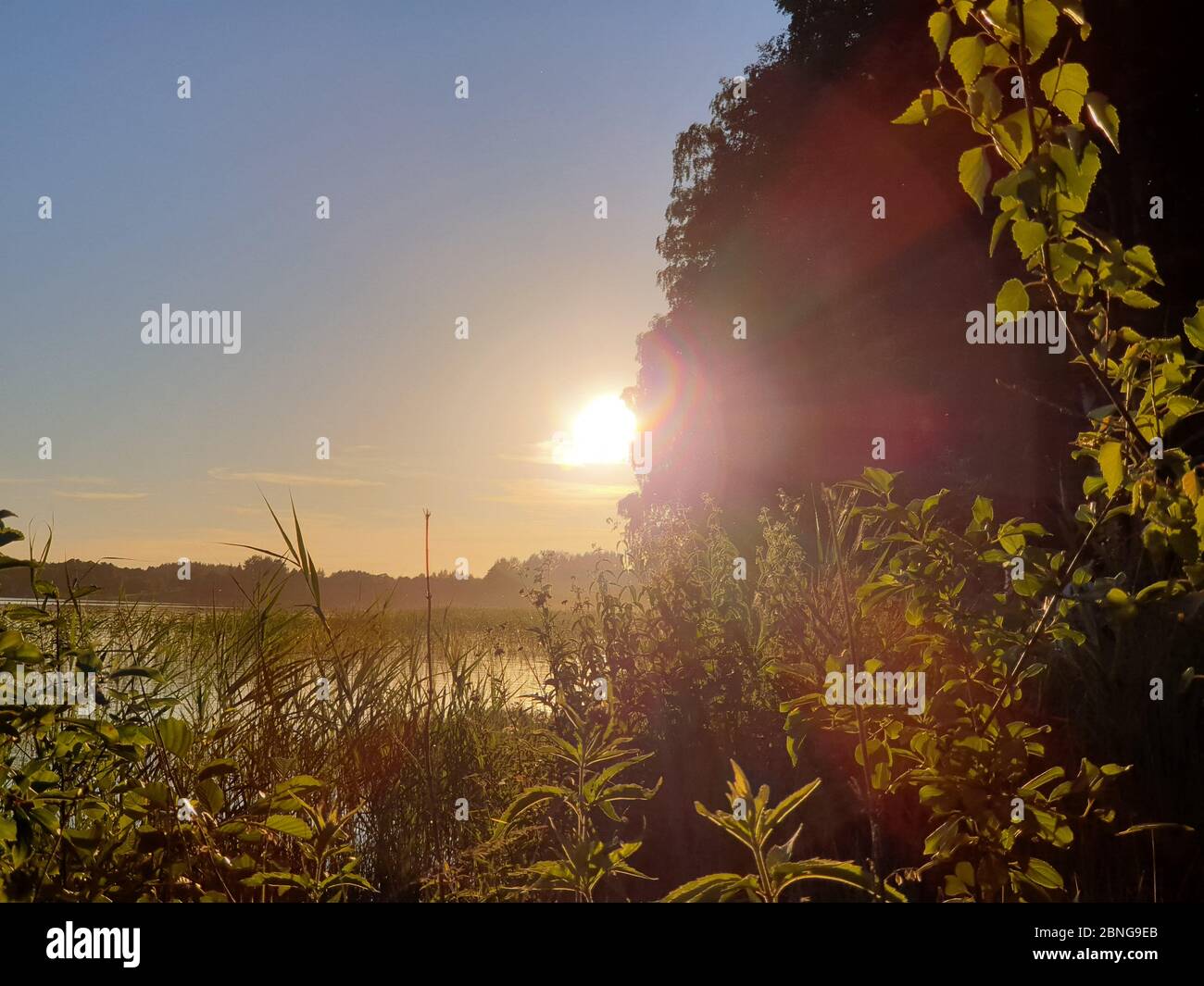 Coucher de soleil dans la forêt près du lac Banque D'Images