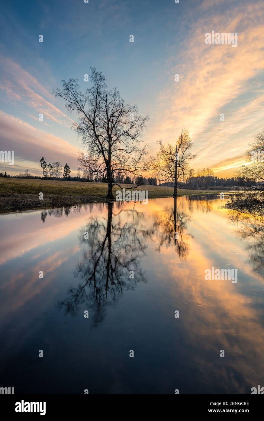 Magnifique coucher de soleil avec paysage calme avec reflets d'arbres et lumière du soleil au printemps soir dans la rivière Finlande Banque D'Images