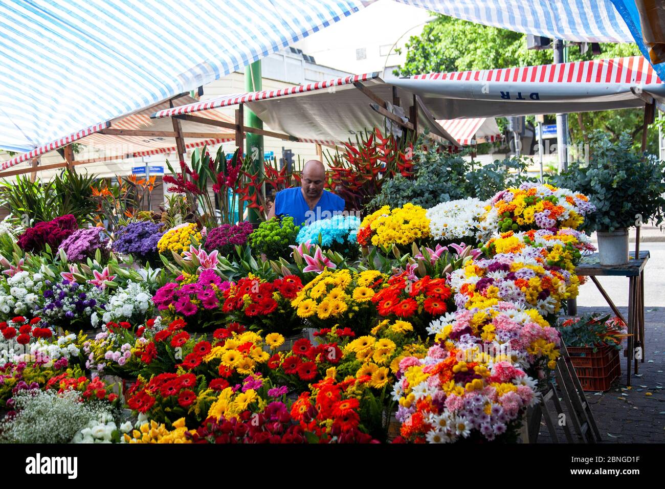 Couper des fleurs au marché des fermiers sur la place Nossa Senhora da Paz à Ipanema, Rio de Janeiro - Brésil Banque D'Images