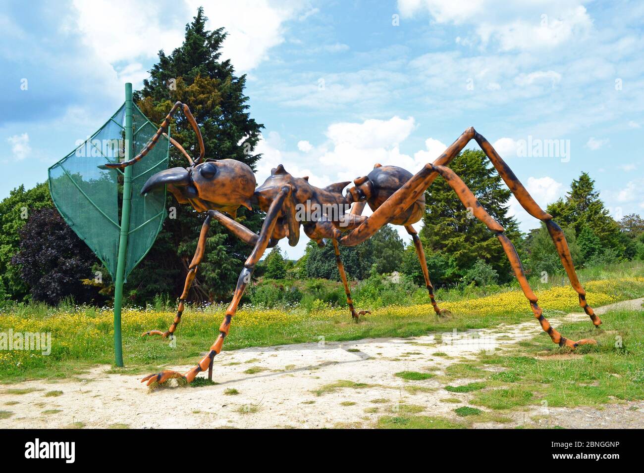 Une sculpture Ant géante à Butterfly World, St Albans, Hertfordshire, Royaume-Uni. L'attraction a fermé en décembre 2015. Banque D'Images