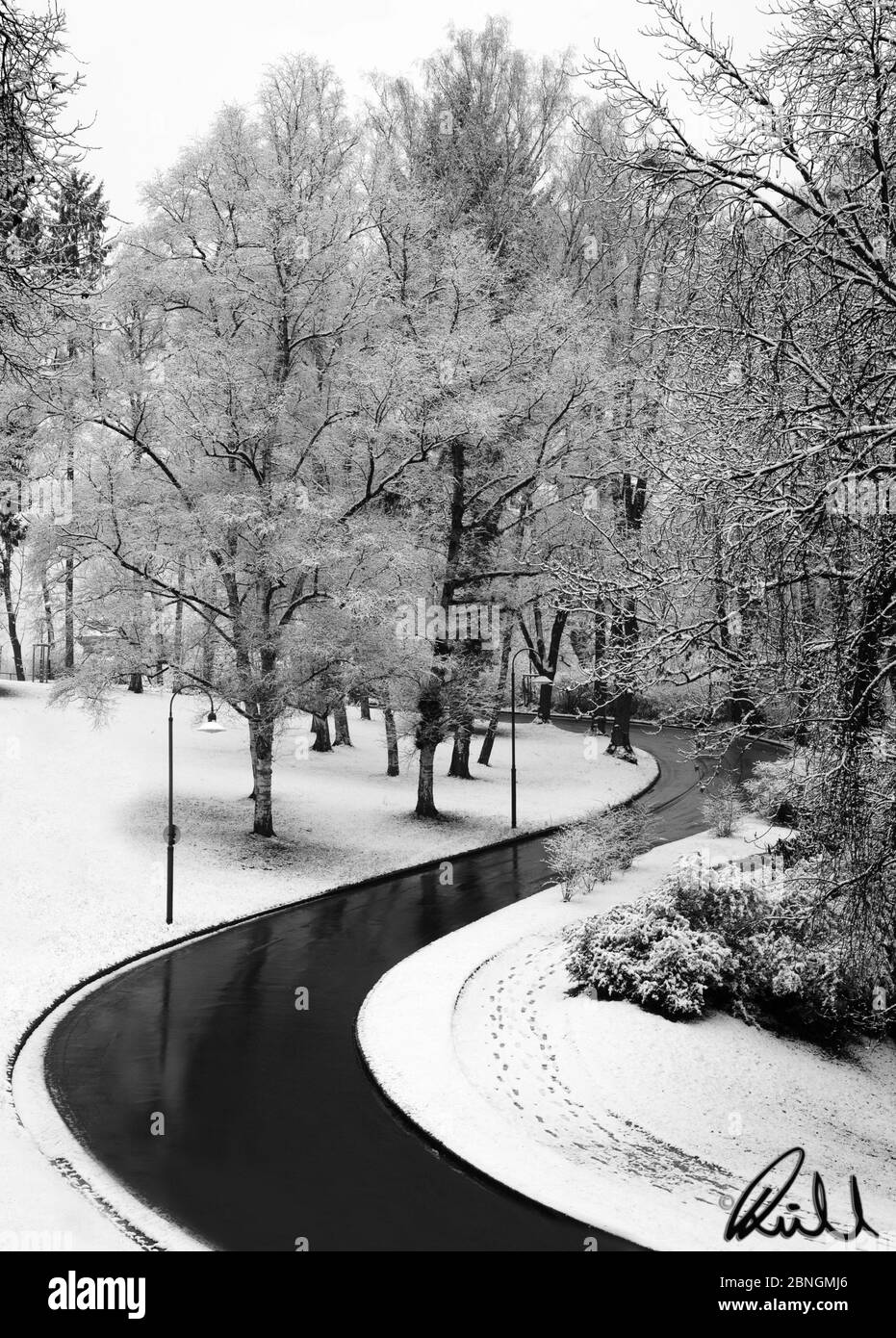 Plan vertical en niveaux de gris d'une route en zigzag dans la forêt recouvert de neige Banque D'Images