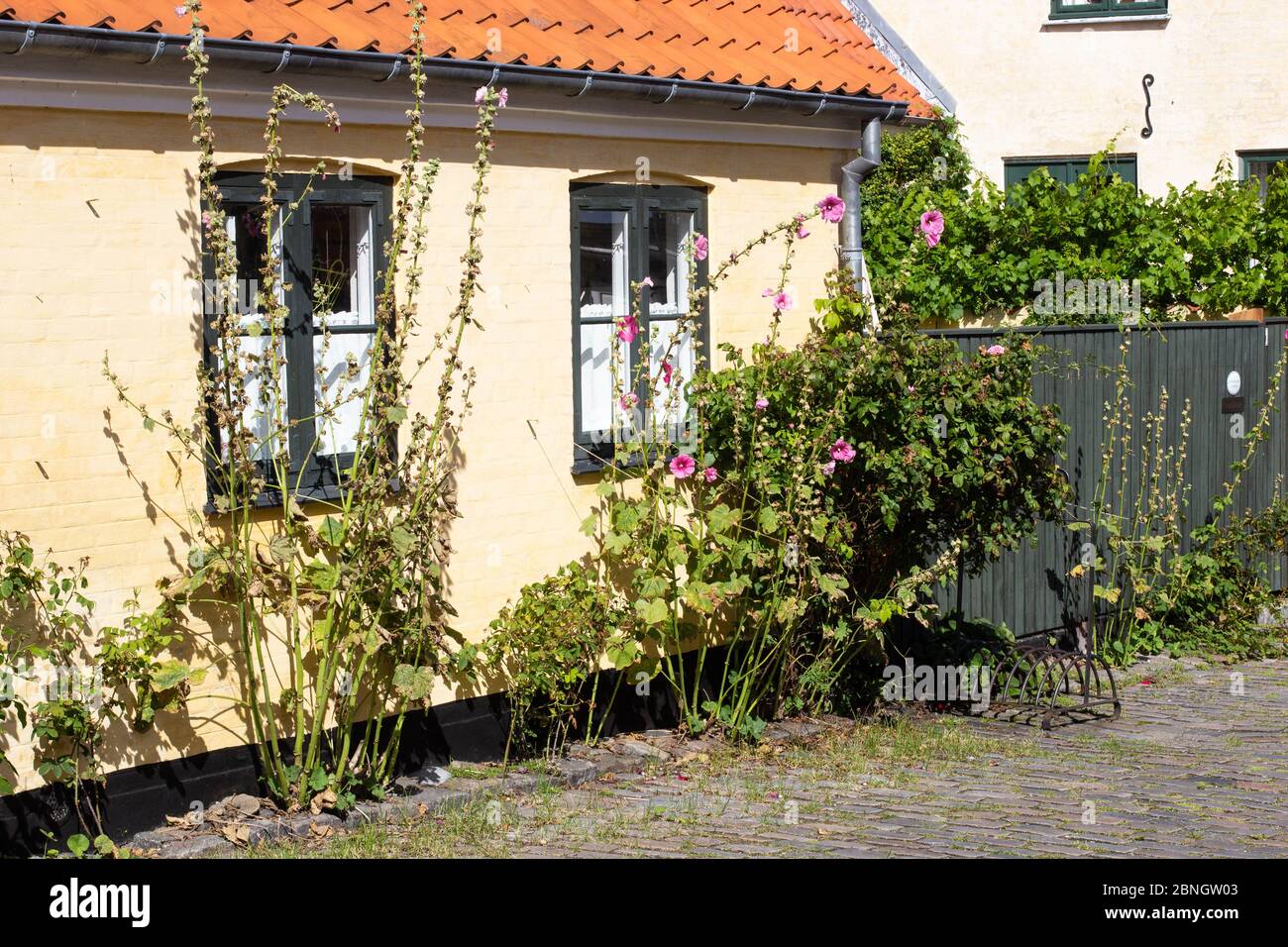 Vieilles maisons jaunes de la vieille ville de Dragor, Danemark Banque D'Images