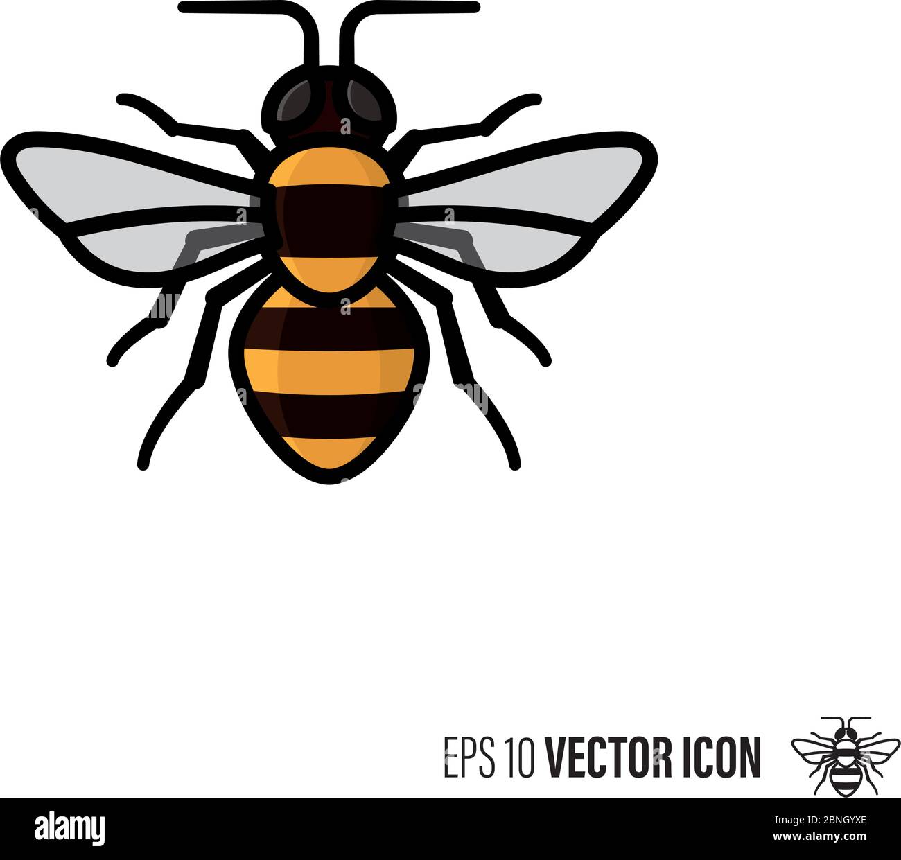 Illustration vectorielle de l'icône représentant une ligne d'abeille et un contour de couleur. Symbole d'insecte bénéfique. Illustration de Vecteur