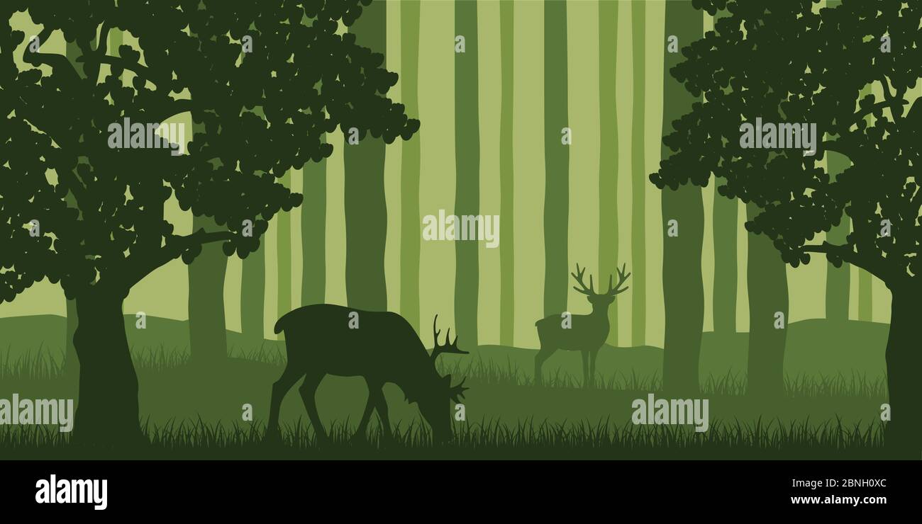 La faune de wapitis dans la forêt verte nature paysage vector illustration EPS10 Illustration de Vecteur
